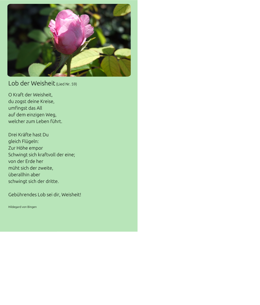 Lob der Weisheit (Lied Nr. 59) O Kraft der Weisheit, du zogst deine Kreise, umfingst das All auf dem einzigen Weg, welcher zum Leben führt.  Drei Kräfte hast Du gleich Flügeln: Zur Höhe empor Schwingt sich kraftvoll der eine; von der Erde her müht sich der zweite, überallhin aber schwingt sich der dritte.  Gebührendes Lob sei dir, Weisheit!  Hildegard von Bingen      INFO